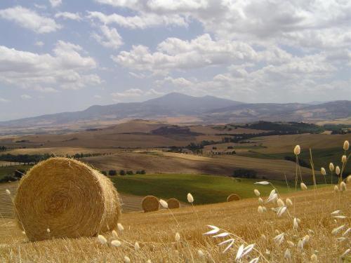 הוילה פיינצה Agriturismo Il Colombaiolo מראה חיצוני תמונה