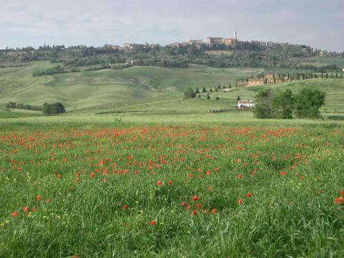פיינצה Agriturismo Colombaiolo מראה חיצוני תמונה
