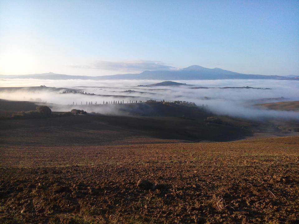 הוילה פיינצה Agriturismo Il Colombaiolo מראה חיצוני תמונה