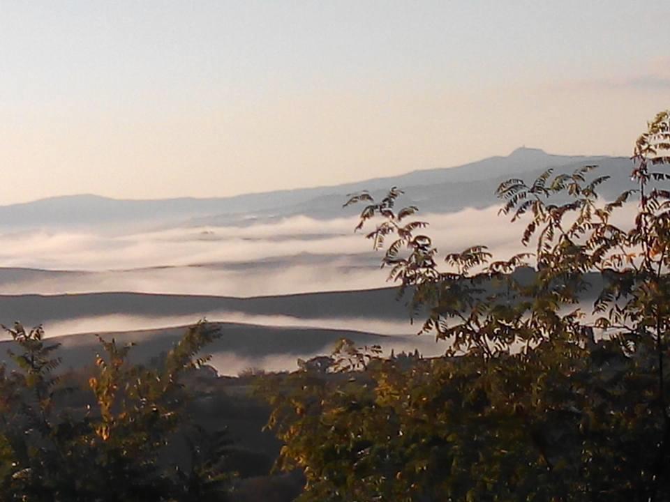 הוילה פיינצה Agriturismo Il Colombaiolo מראה חיצוני תמונה