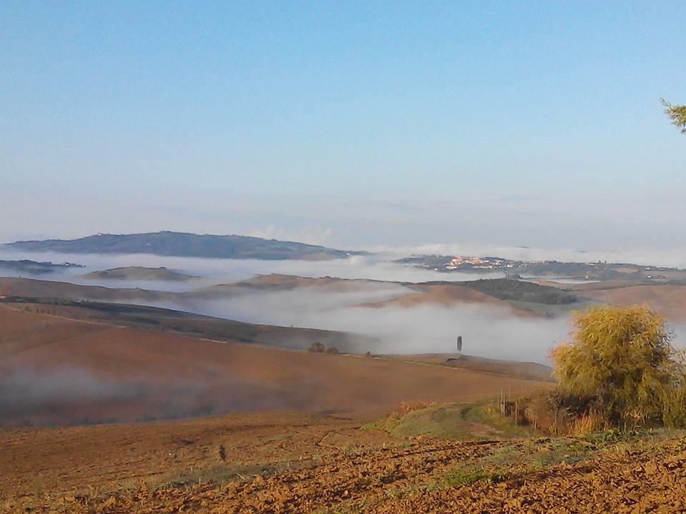 הוילה פיינצה Agriturismo Il Colombaiolo מראה חיצוני תמונה