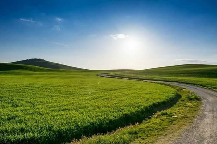 הוילה פיינצה Agriturismo Il Colombaiolo מראה חיצוני תמונה