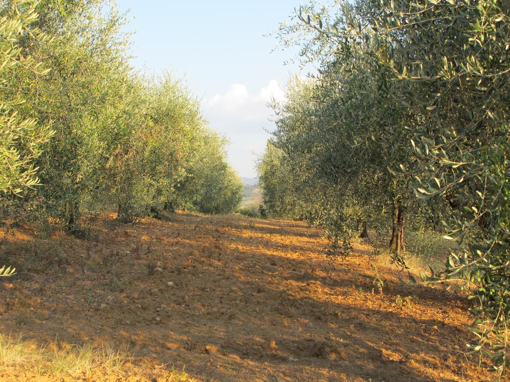 הוילה פיינצה Agriturismo Il Colombaiolo מראה חיצוני תמונה