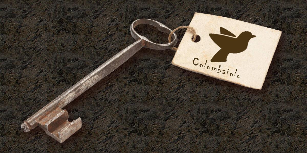 פיינצה Agriturismo Colombaiolo מראה חיצוני תמונה